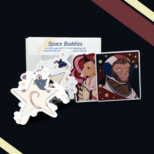Space Buddies Sticker Pack (5 Matte Stickers)